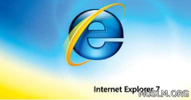 331      Internet Explorer   2016