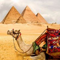 70 مليار دولار خسائر السياحة المصرية في 5 سنوات