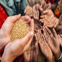الأمم المتحدة: انخفاض أسعار الغذاء عالميا