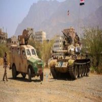 الجيش اليمني يعلن اعتقال 250 من 