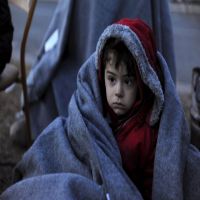نصف مليون سوري ينتظرون الموافقة على لمّ الشمل في ألمانيا