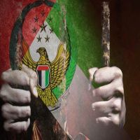 تفاصيل إطلاق الإمارات سراح 19 مصريا